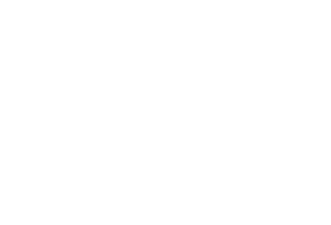 Magna Housing logo